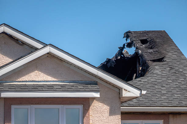 Top rated local Fire Damage Removal specialists in Phoenix, AZ
